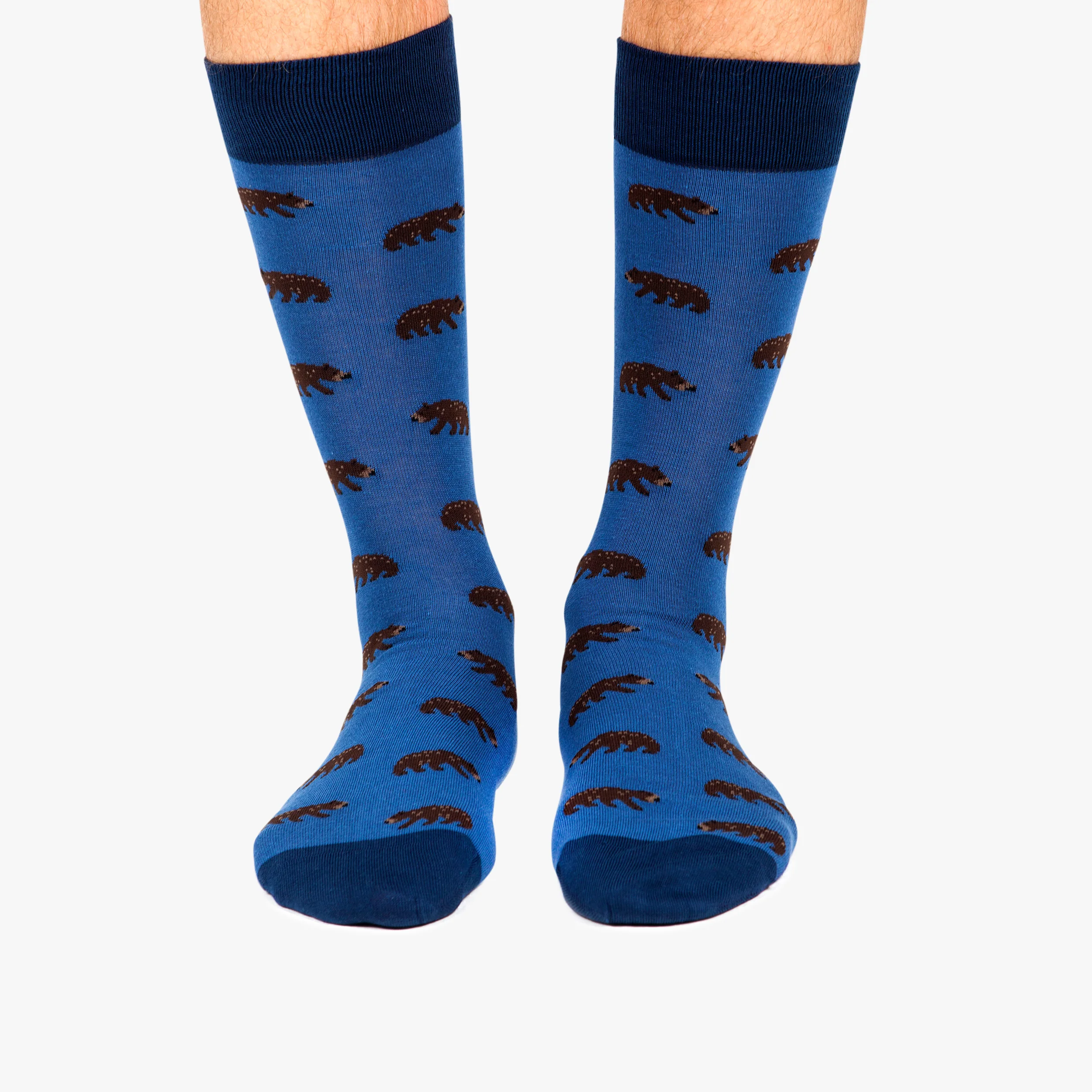 Bears - Light Blue - Image 2
