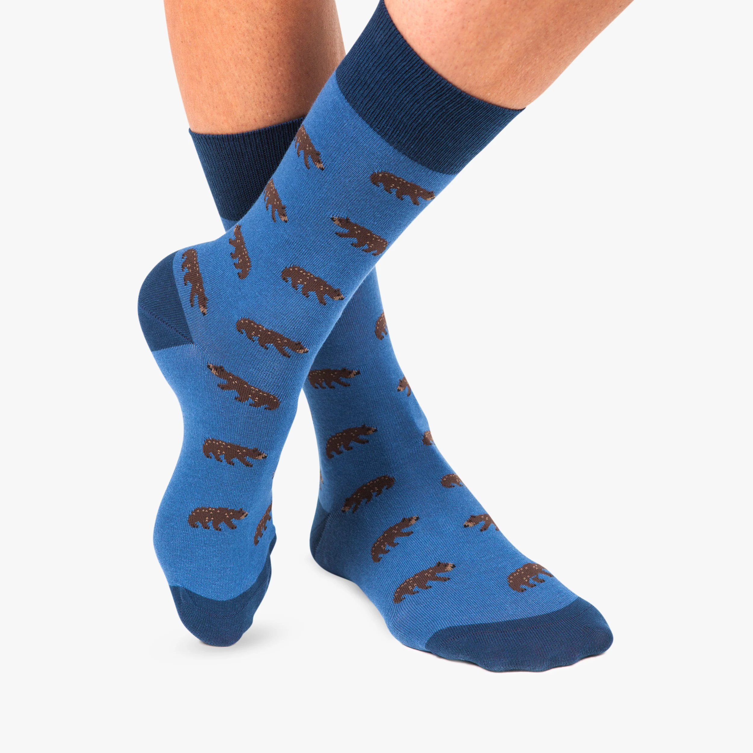 Bears - Light Blue - Image 3