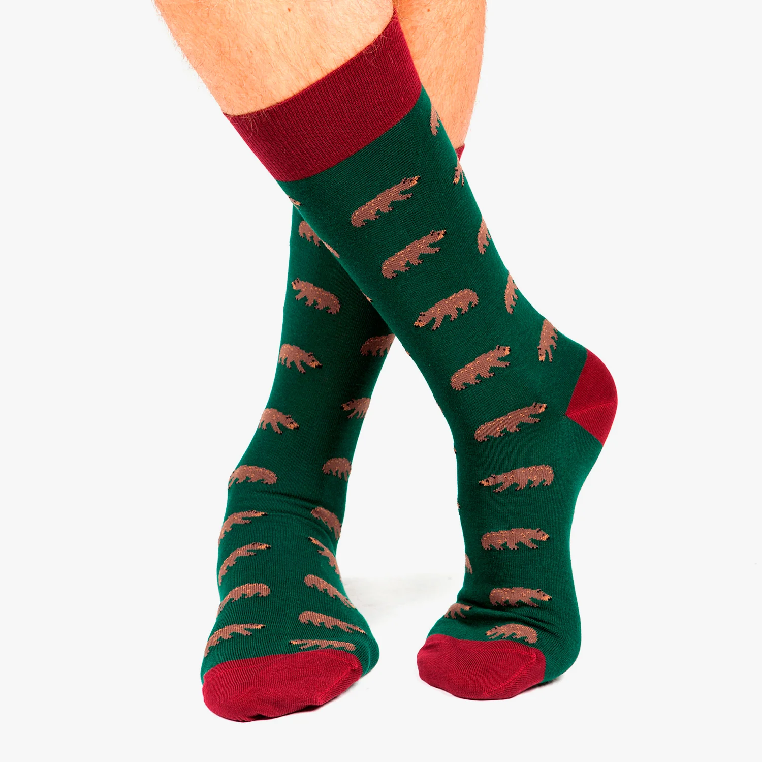 Bears - Dark Green - Image 2