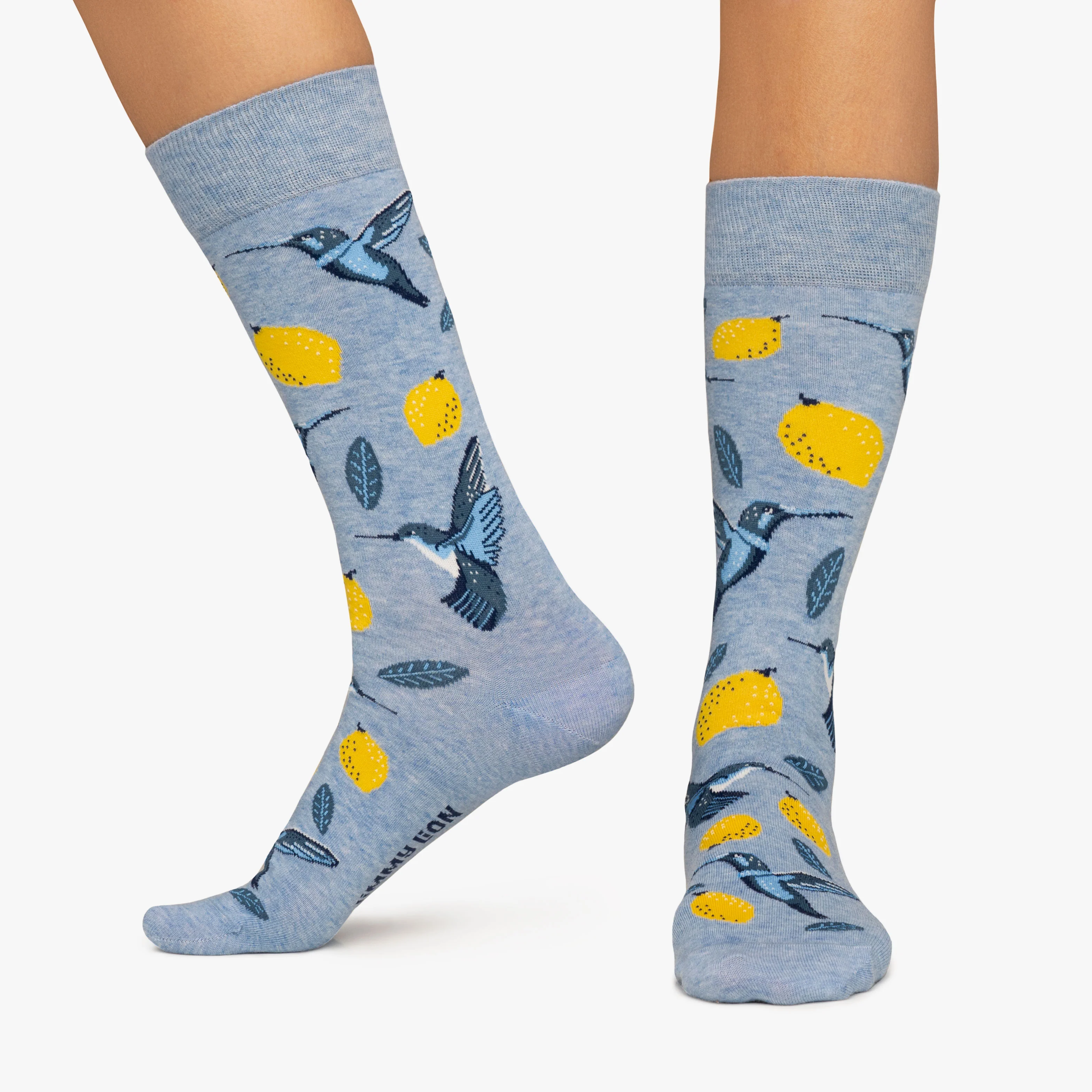 Birds & Lemons - Light Blue - Image 3