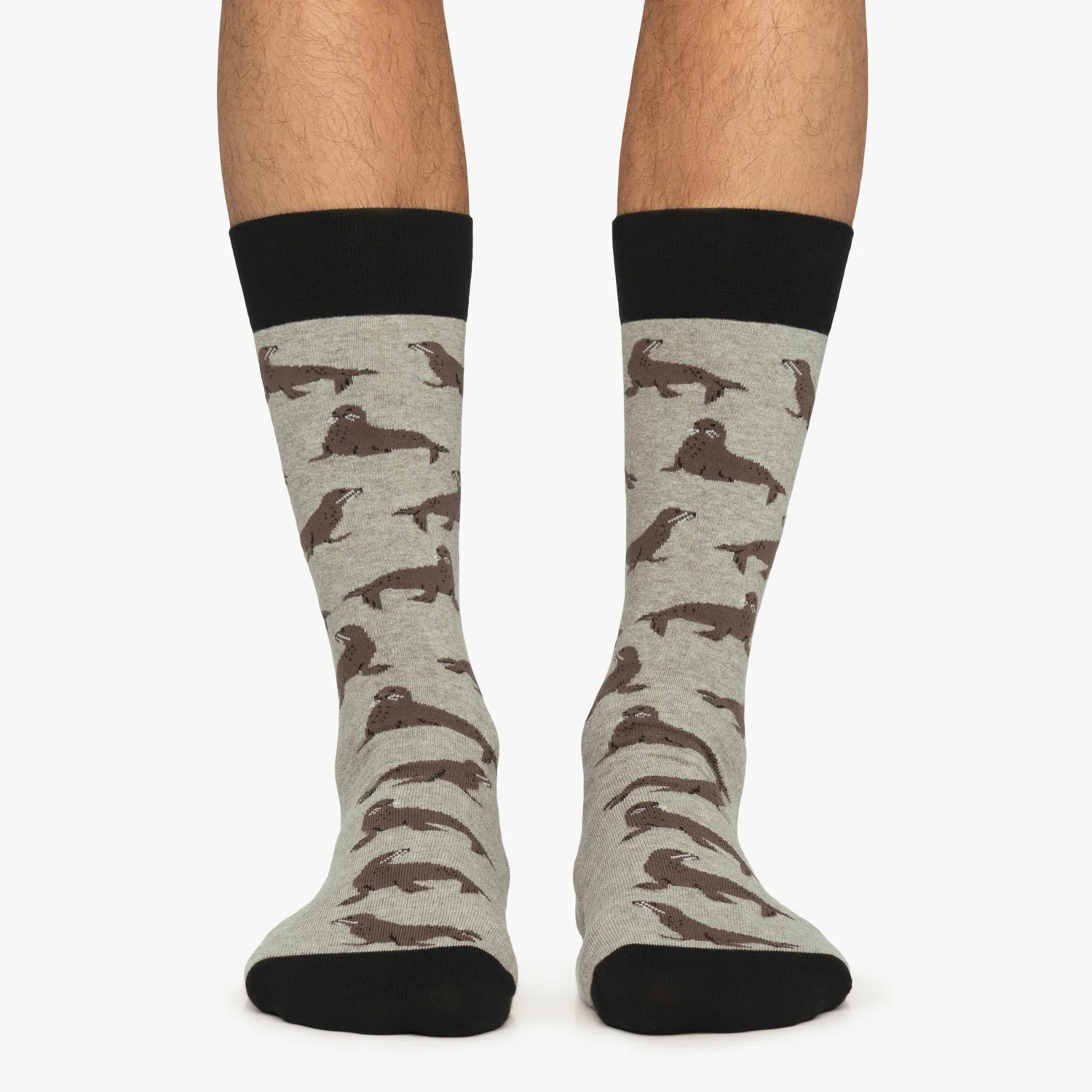 Seals - Grey - Image 2
